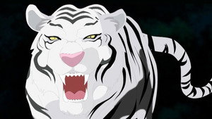 Tiger by the Tail