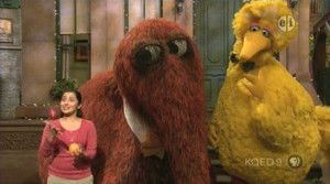 Big Bird and Snuffy Talent Show