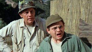 Mad Dogs and Servicemen