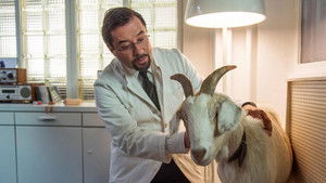 The Miracle of Wolbeck