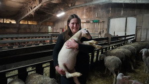 Young French people take over old farms